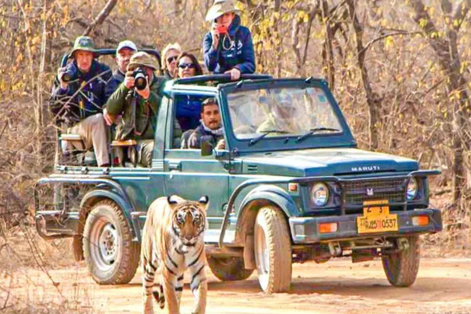 Vanuit Jaipur: Privé Ranthambore Park Trip met Tijgersafari