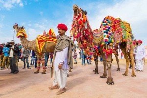 Fra Jaipur: Privat dagstur til Ajmer og Pushkar