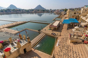 Von Jaipur aus: Private Same Day Pushkar City Tour mit dem Auto