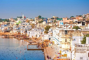 Von Jaipur aus: Private Same Day Pushkar City Tour mit dem Auto