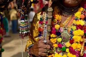 Vanuit Jaipur: Pushkar en Ajmer Privé Dagtrip