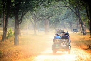 Från Jaipur: Dagsutflykt med safari i nationalparken Ranthambore