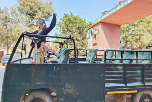 Из Джайпура: однодневная поездка в национальный парк Рантхамбор с сафари