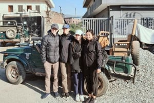 Из Джайпура: однодневная поездка в национальный парк Рантхамбор с сафари