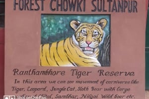 Ranthambore tigersafari - dagstur fra Jaipur - alt inkludert