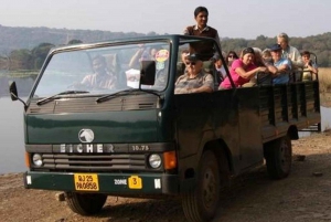 From Jaipur: Guided Ranthambore National Park Tour & Safari