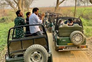 From Jaipur: Guided Ranthambore National Park Tour & Safari