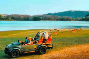 From Jaipur: Guided Ranthambore National Park Tour & Safari