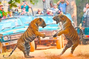 From Jaipur: Guided Ranthambore National Park Tour & Safari