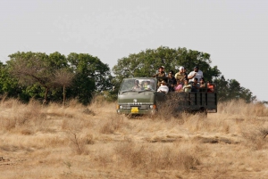 Desde Jaipur Excursión a Ranthambore en taxi