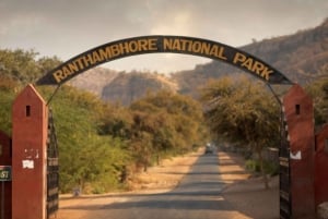 Desde Jaipur Excursión a Ranthambore en taxi
