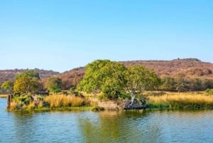 Desde Jaipur Excursión a Ranthambore en taxi