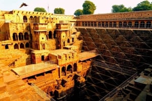 Depuis Jaipur : Excursion dans la même journée au puits d'Abhaneri Chand Baori