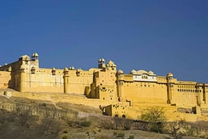 Fra Jaipur: Samme dag bytur med bil og guide