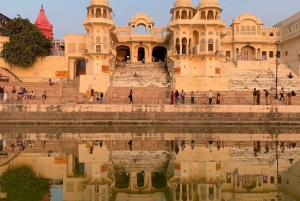 Vanuit Jaipur: Pushkar privé dagtrip op dezelfde dag