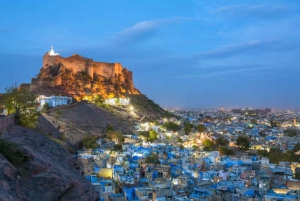 Vanuit Jaipur: Pushkar privé dagtrip op dezelfde dag