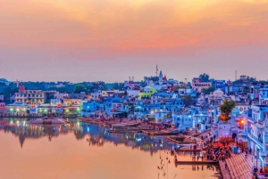 Vanuit Jaipur: Pushkar privé dagtrip op dezelfde dag
