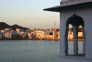 Från Jaipur: Samma dag Pushkar Självguidad dagsutflykt