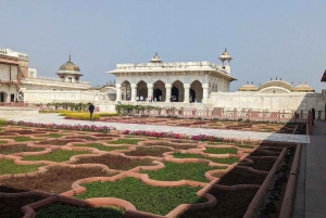 Jaipurista: Jaipurissa: Samana päivänä Taj Mahal & Agra Tour with Delhi Drop: Same Day Taj Mahal & Agra Tour with Delhi Drop