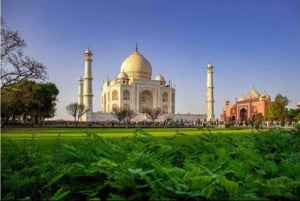 Fra Jaipur : Taj Mahal & Agra Fort Dagstur med frokost