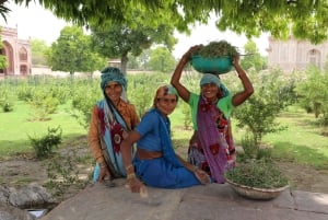 Vanuit Jaipur: Taj Mahal & Agra Privé Dagtrip