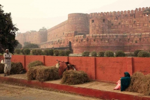 Da Jaipur: tour guidato privato di Agra e del Taj Mahal