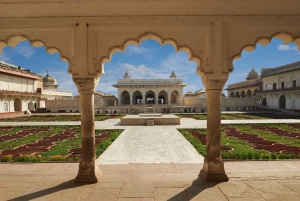 Från Jaipur: Taj Mahal & Agra privat guidad tur
