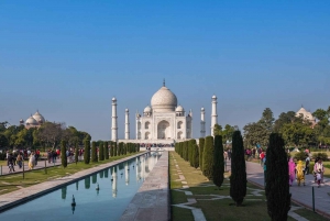 Från Jaipur: Privat rundtur i Taj Mahal och Agra Fort