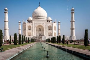 Fra Jaipur: Privat utflukt til soloppgang over Taj Mahal og Agra-fortet