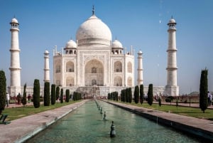 Von Jaipur aus: Taj Mahal Sonnenaufgang und Agra Fort Privatausflug