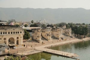 A partir de Jaipur: viagem de 1 dia à cidade dos templos de Pushkar com safari de camelo