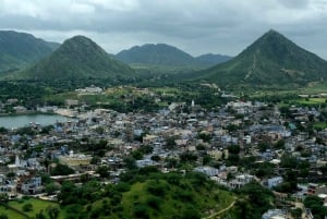 A partir de Jaipur: viagem de 1 dia à cidade dos templos de Pushkar com safari de camelo