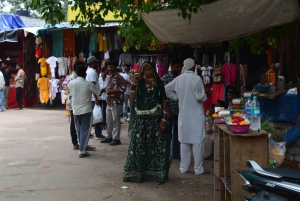 A partir de Jaipur: viagem de 1 dia à cidade dos templos de Pushkar com safari de camelo