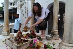 A partir de Jaipur: viagem de 1 dia à cidade dos templos de Pushkar com safari de camelo