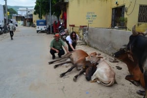 A partir de Jaipur: viagem de 1 dia à cidade dos templos de Pushkar com safari de camelo