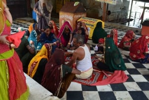 A partir de Jaipur: viagem de 1 dia à cidade dos templos de Pushkar com safari de camelo