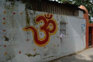 A partir de Jaipur: viagem de 1 dia à cidade dos templos de Pushkar com safari de camelo