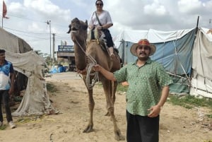 A partir de Jaipur: viagem de 1 dia à cidade dos templos de Pushkar com safari de camelo