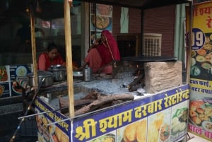 A partir de Jaipur: viagem de 1 dia à cidade dos templos de Pushkar com safari de camelo