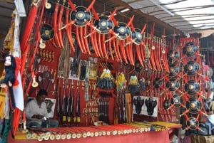 A partir de Jaipur: viagem de 1 dia à cidade dos templos de Pushkar com safari de camelo