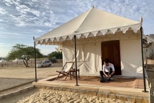 From Jaisalmer : Overnight Camping With Camel Safari