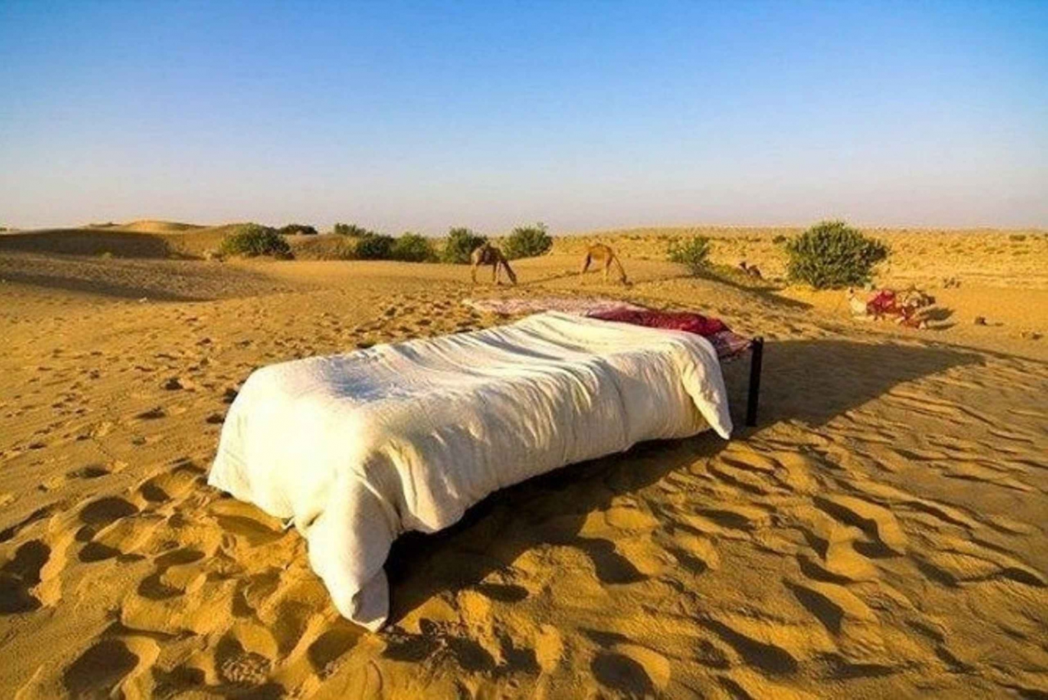 Jaisalmerista : Yöpyminen tähtien alla kamelisafarin kanssa