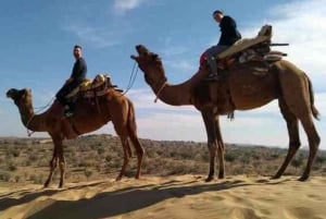 Ab Jaisalmer: Übernachtung unter Sternen mit Kamelsafari