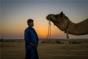 Z Jodhpur: wycieczka Jaisalmer & Jodhpur na 3 noce i 4 dni