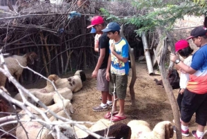 Von Jodhpur aus: Erlebe die authentische Bishnoi-Dorf-Safari