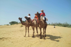 From Jodhpur: Guided Day Trip to Osian with Camel Safari