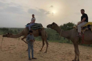 From Jodhpur: Experience Camel Safari With Overnight Stay