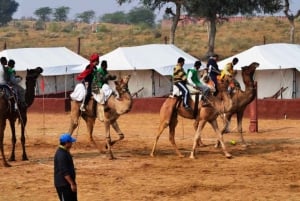 Jodhpurista: Jodhpurissa: Yöpyminen leirintäalueella kamelisafarin kanssa Jodhpurissa