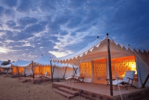 Från Jodhpur: Camping med övernattning och kamelsafari i Jodhpur