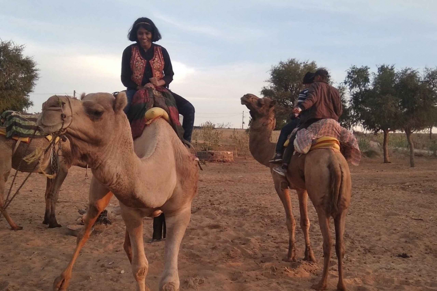 De Jodhpur: Safári de jipe e camelo no deserto de Thar com almoço